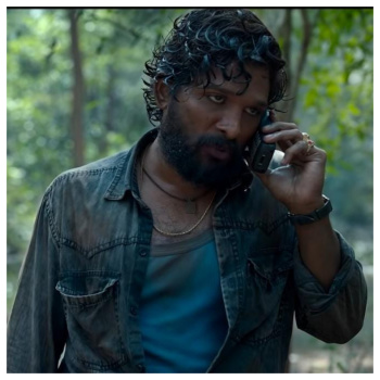 Allu Arjun's Pushpa fourth week box office; Set to cross Rs. 300 crores in India today