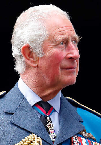 King Charles III Poster