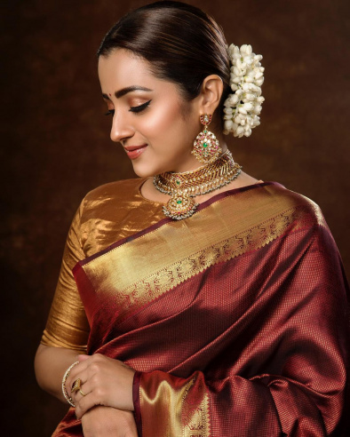 Aggregate more than 145 trisha saree collection super hot