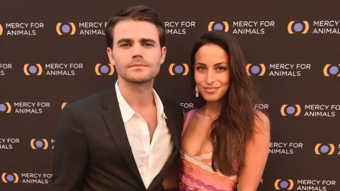 Has Paul Wesley filed for divorce from Ines de Ramon because of Brad Pitt?  Deets inside