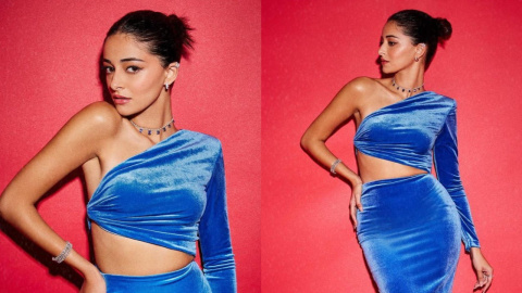 Ananya Panday brings back '90s old fashion charm in Alex Perry side-cut-out  gown that costs Rs 2 Lacs | PINKVILLA