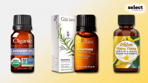 11 Awesome Essential Oil Blends That Smell Like Candy - A Less