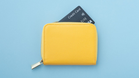 Short wallet multi-card buckle dollar bag flat leather wallet coin