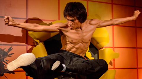 Bruce lee fitness outlet