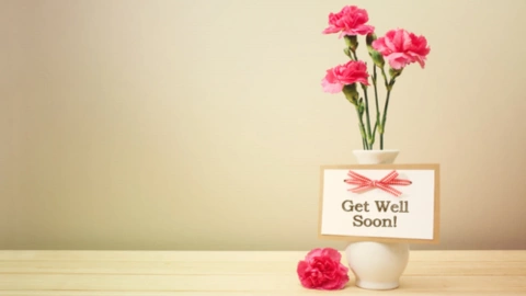 Get Well Soon Gifts for Women Men, 5-Piece Cancer South Korea