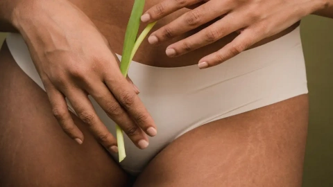 Buy Women Waist Trainer Tummy Control Panties Body Shaper High Waisted  Shapewear Briefs Butt Lifter Slimming Corset Seamless Black ML at  Amazonin
