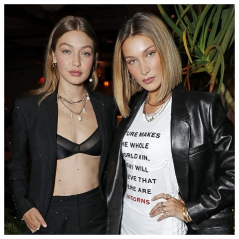 Who's the highest paid model between Gigi and Bella Hadid?