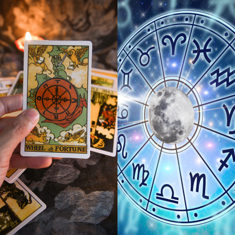 Tarot Cards VS Astrology: What is the difference between the | PINKVILLA