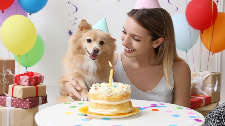 Zodiac Signs Who Celebrate Pet’s Birthdays with Great Gusto