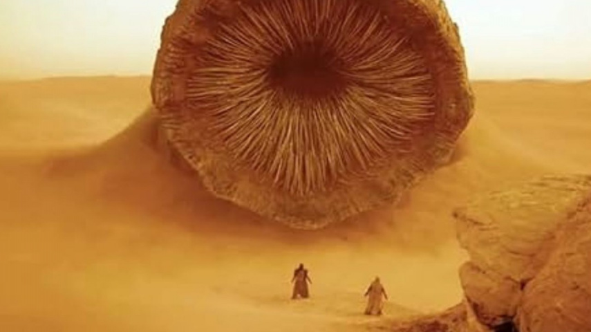 Dune Popcorn Bucket goes viral 