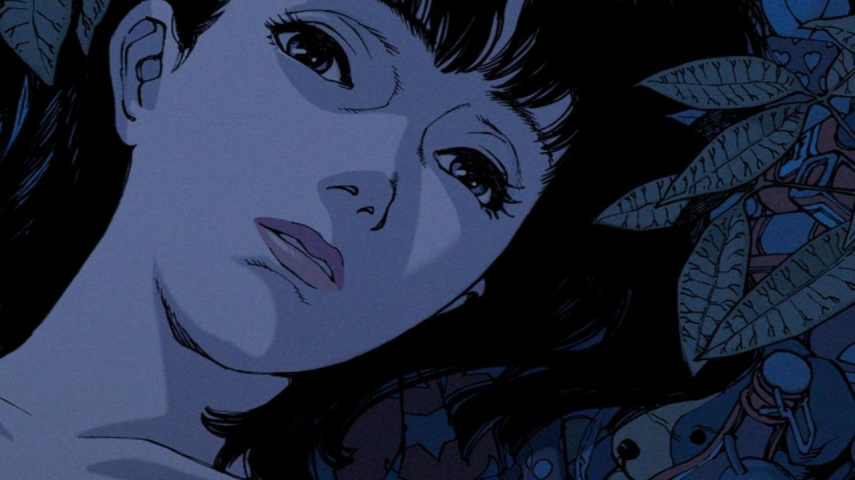 Know more about Perfect Blue
