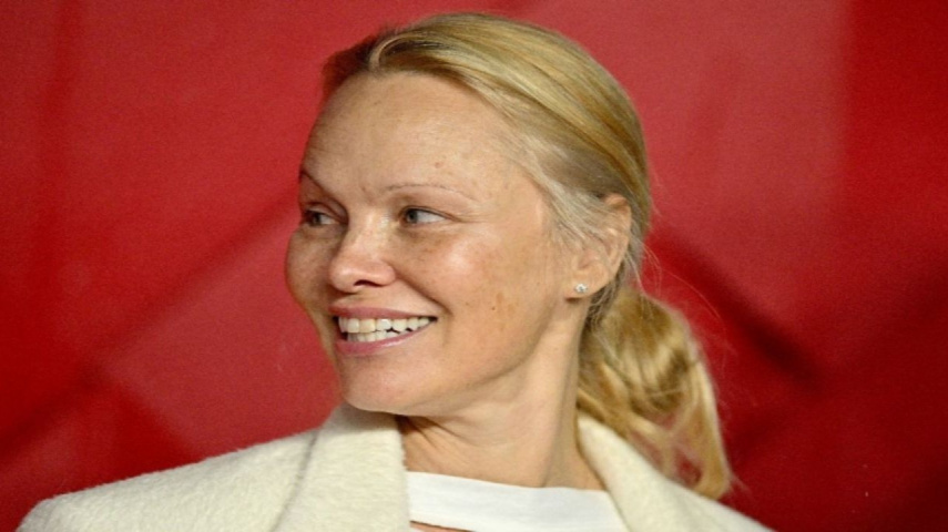 Pamela Anderson To Co-Star With Liam Neeson In The Naked Gun Remake