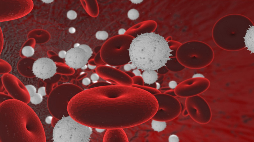 Supercharge your defenses by increasing your white blood cells