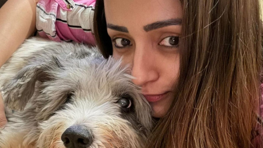 Trisha Krishnan drops adorable photos with her pet dog