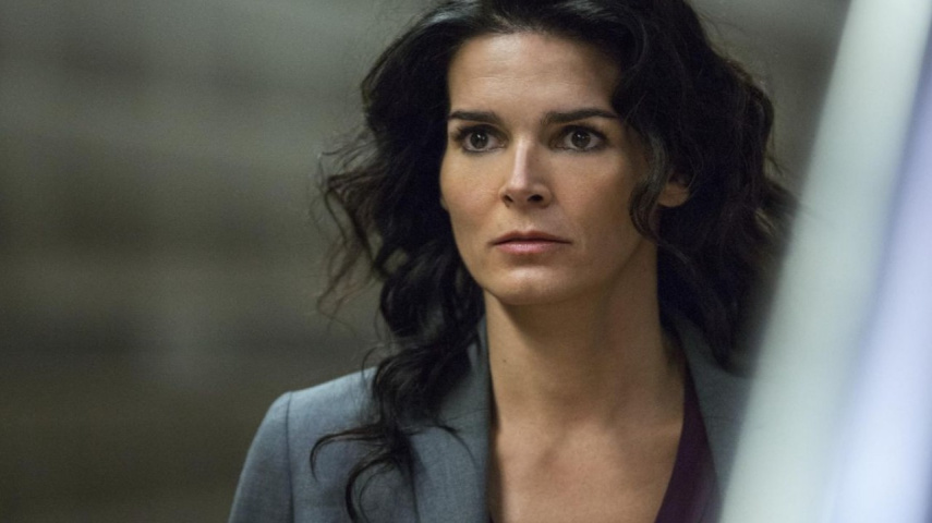 Angie Harmon claims her dog was shot