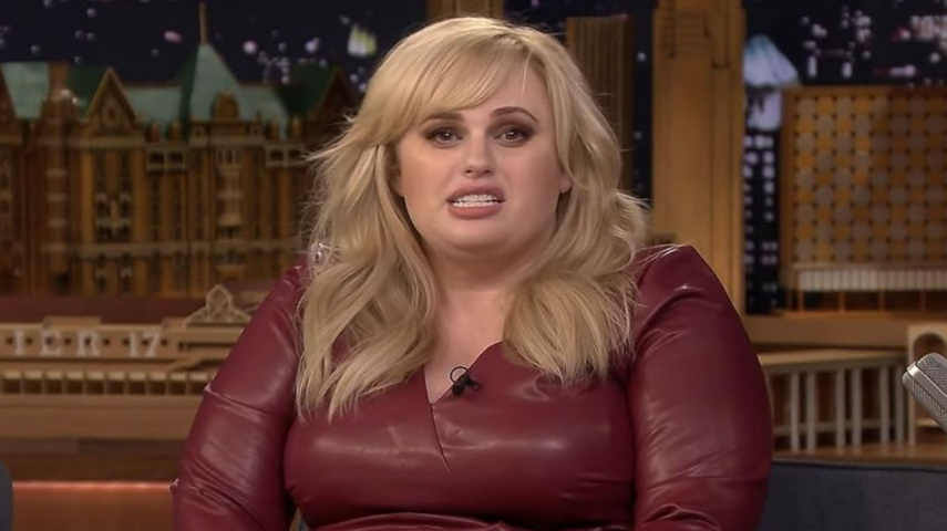 Know More About The Actor As Rebel Wilson Accuses Him Of Threatening Her Over Memoir