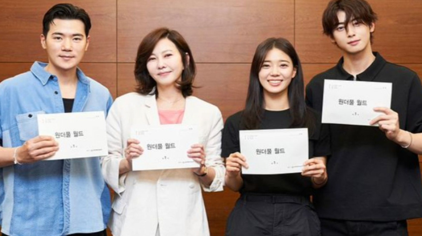 Wonderful World cast: MBC