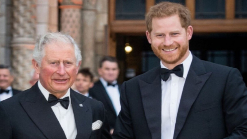 Prince Harry's Post-Royal Business Ventures