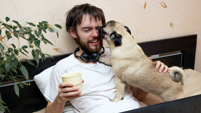 Zodiac Signs Prone to Pining for Their Pets While at Work