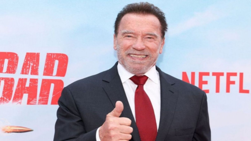 Arnold Schwarzenegger Praises His Son-in-Law Chris Pratt As 'A Fun Guy'