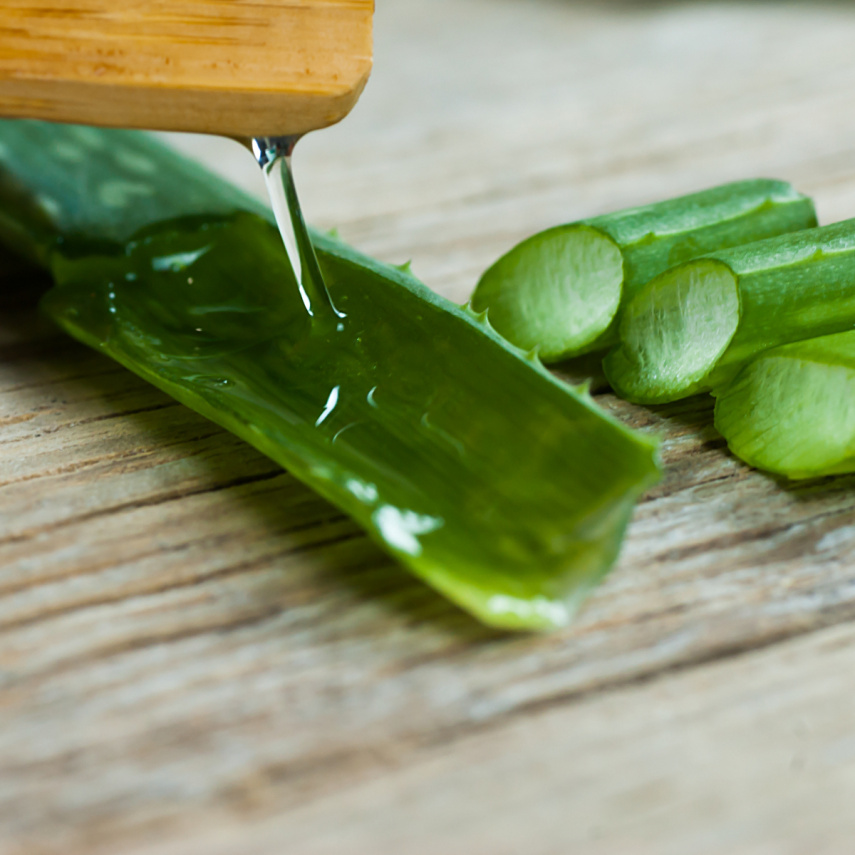 Aloe vera is a MIRACLE plant for your skin and hair health; Here is how you can use it in your beauty regime