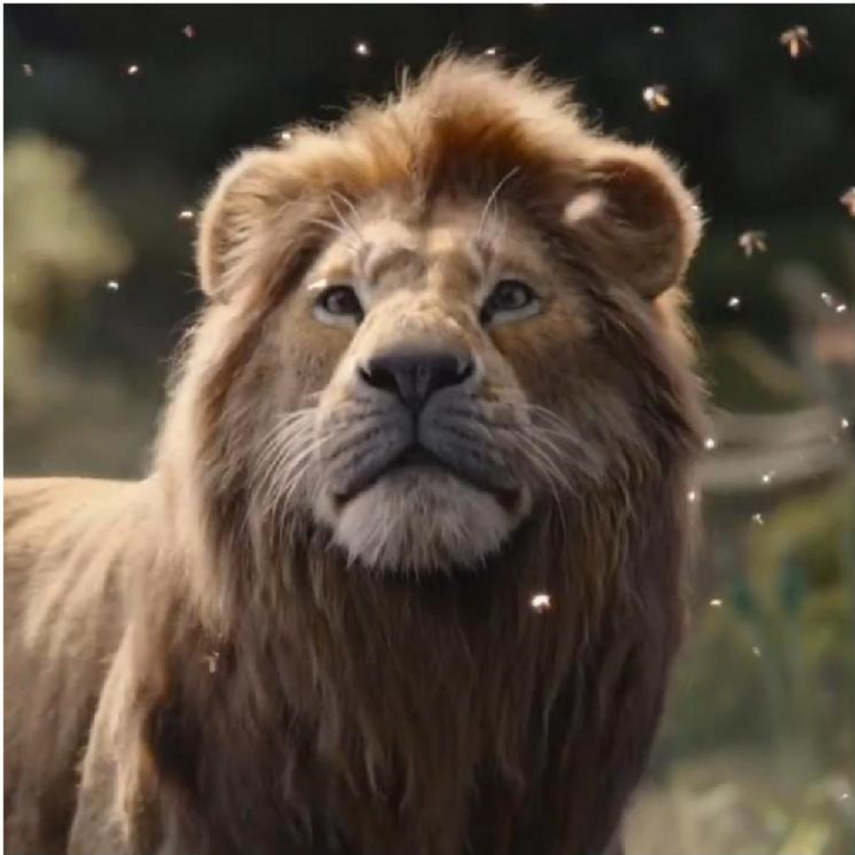  The Lion King Box Office Collection India Day 14: Disney's film becomes the fourth blockbuster of the year