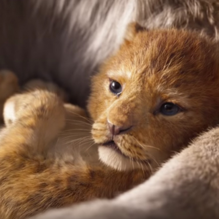 The Lion King roared past Rs 100 crore at the domestic box office over the weekend.  