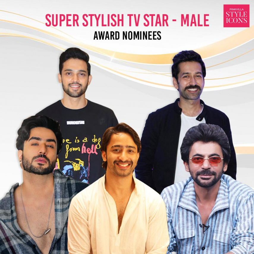 Pinkvilla Style Icon Awards Nominations: Aly Goni to Nakuul Mehta, nominees for Super Stylish TV Star Male