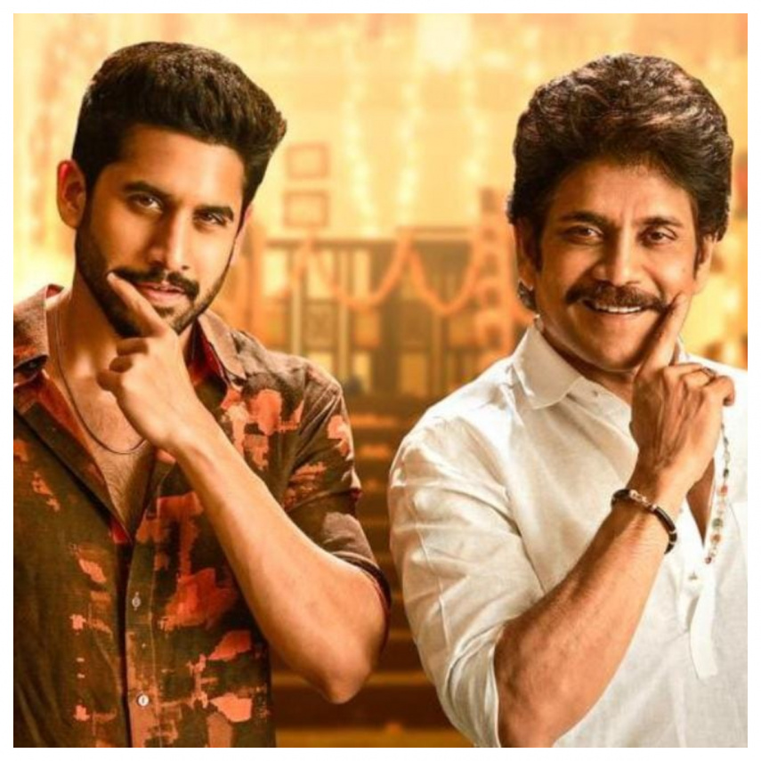 Sankranti Box Office Preview: 3 films battle it out as Nagarjuna is expected to lead the path with Bangarraju