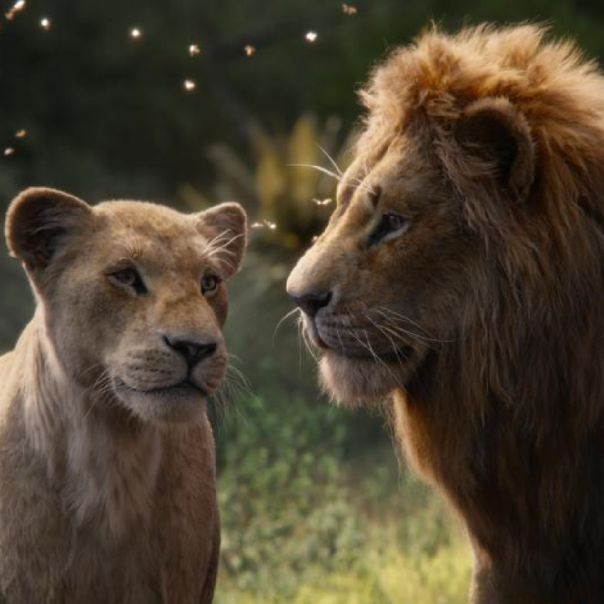 The Lion King Box Office Collection: Disney's live action drama is off to a good start