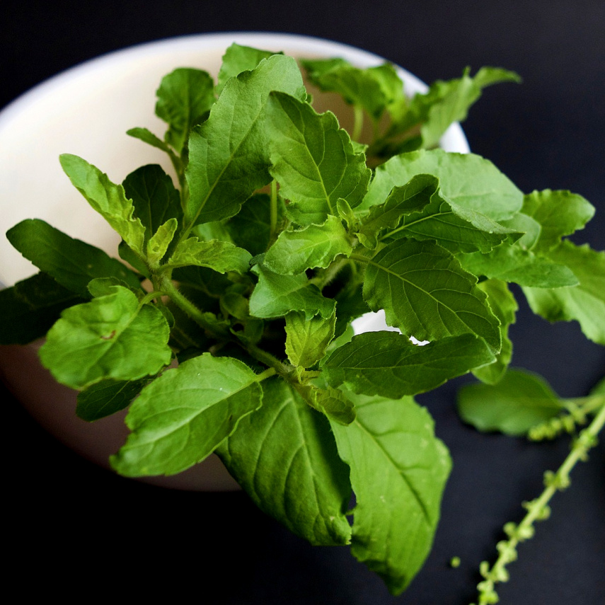 Tulsi DIY home remedies to unlock its ANCIENT secrets for hair growth and dandruff free scalp 